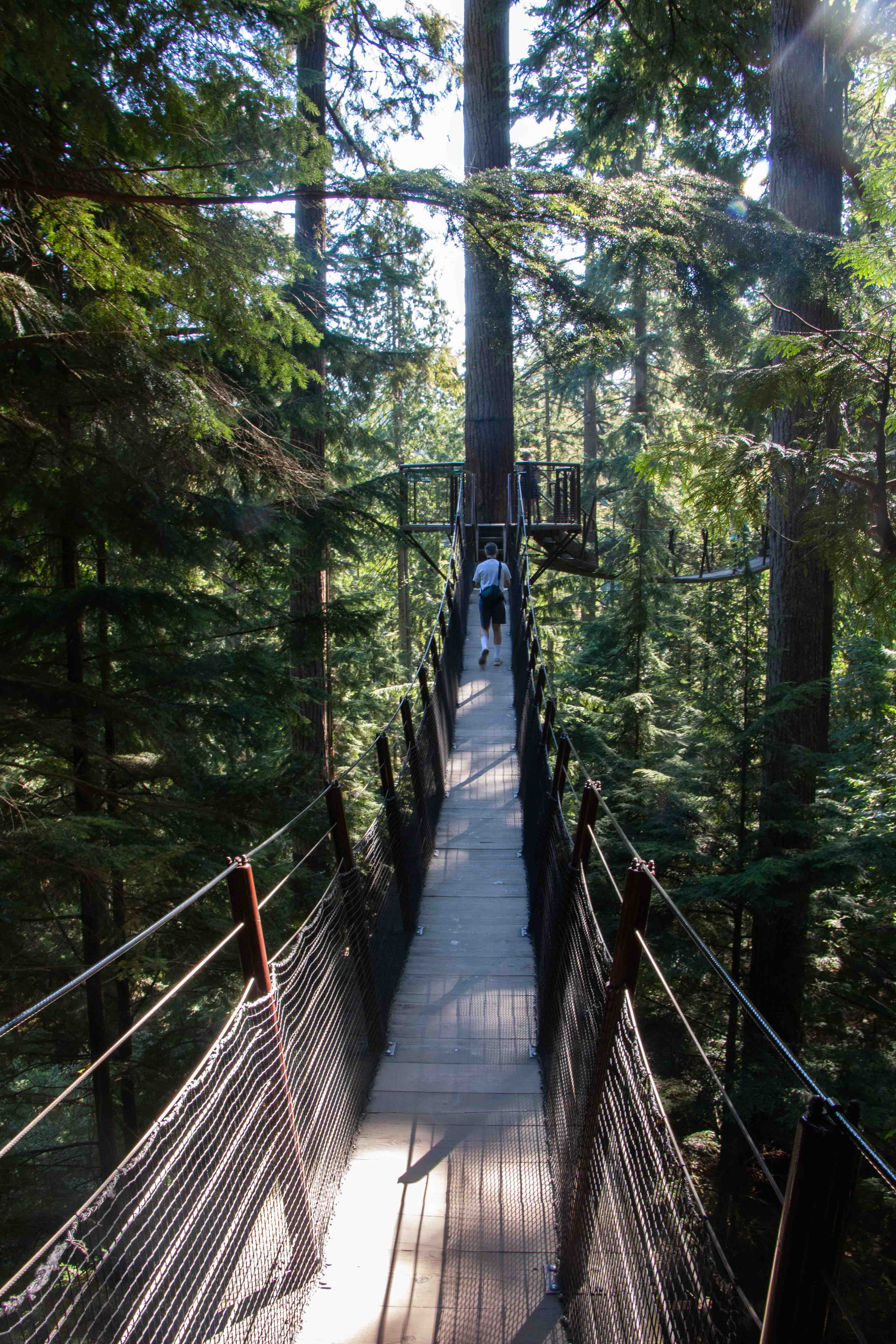 Walking across the Capilano Suspension Bridge