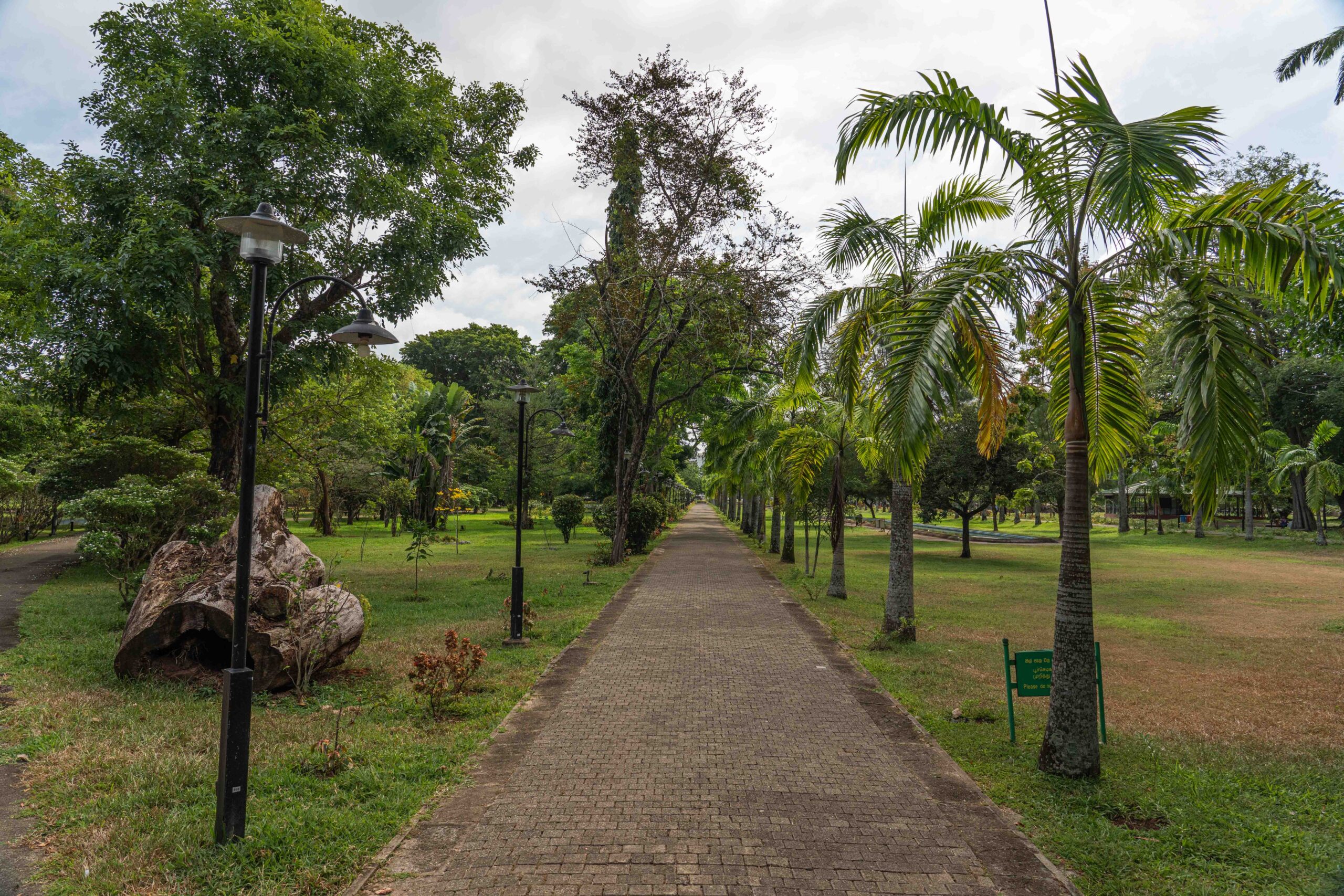 Colombo - Viharamahadevi Park