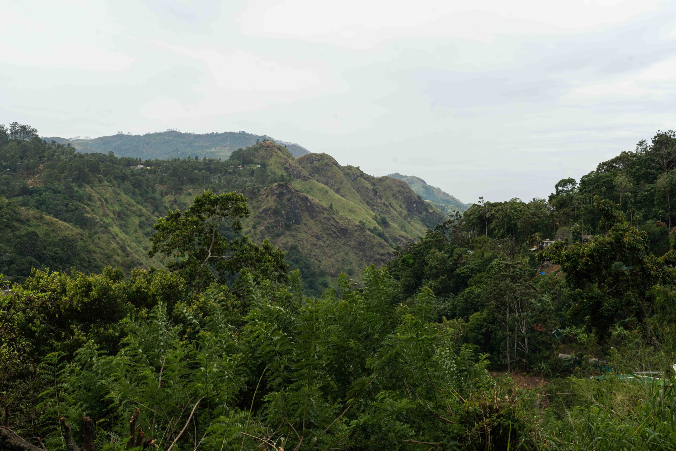 Verdant mountain views from my room in Ella