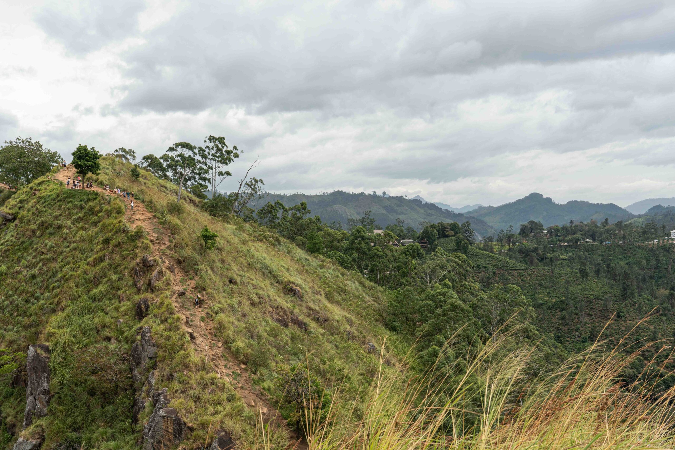 The final leg to the top of Little Adam's Peak