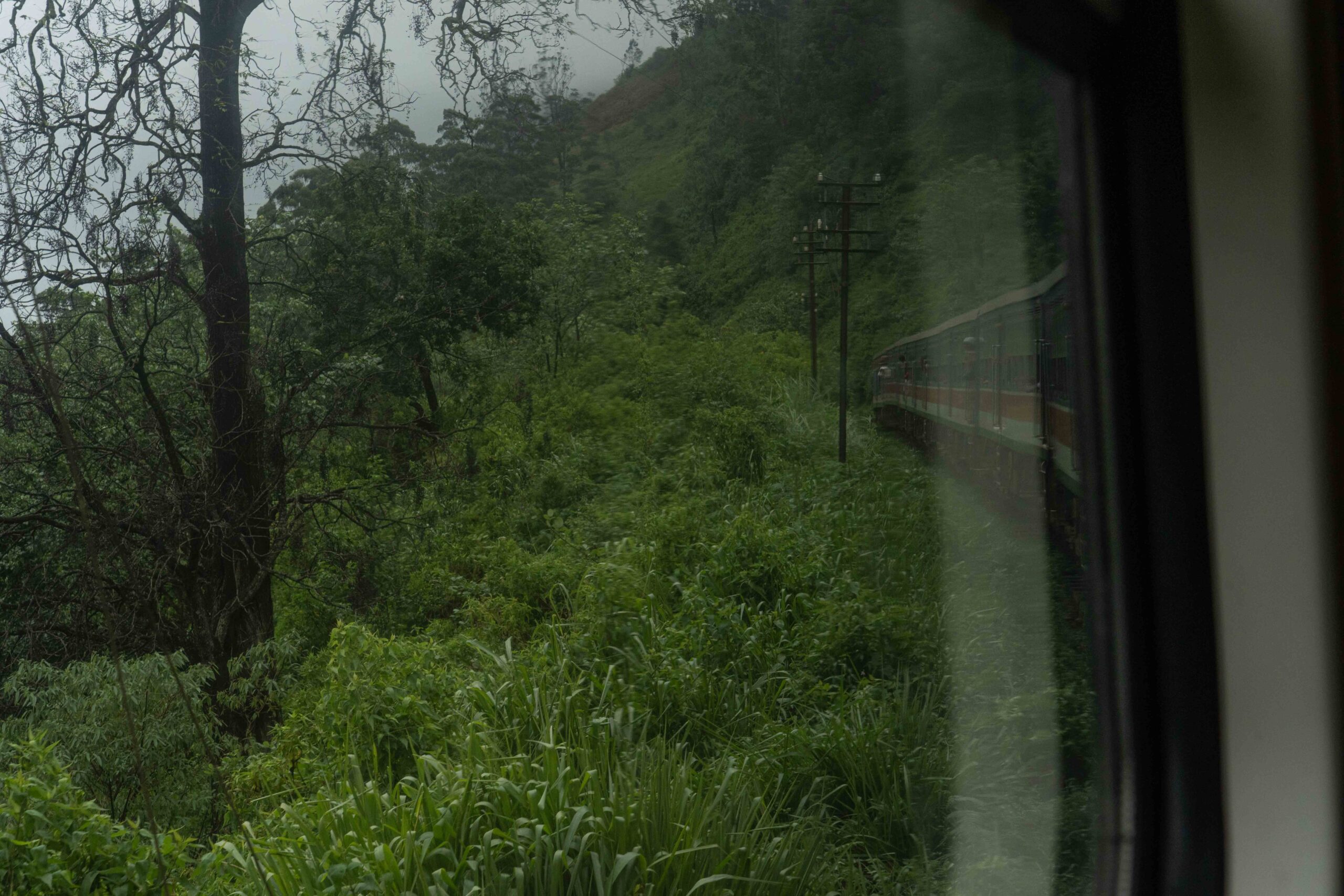 A view of the train passing through the dense green hills on the way to Kandy