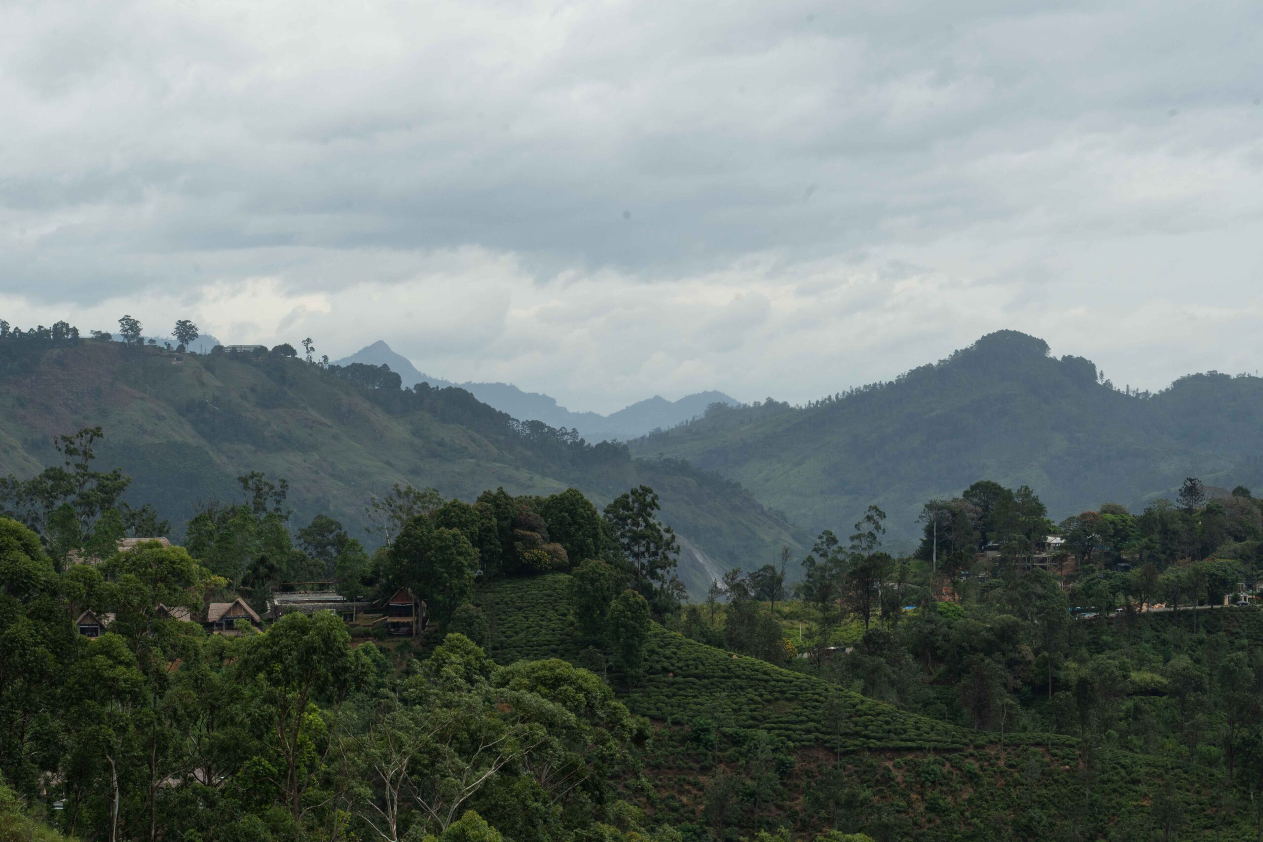 Little Adam's Peak - the view