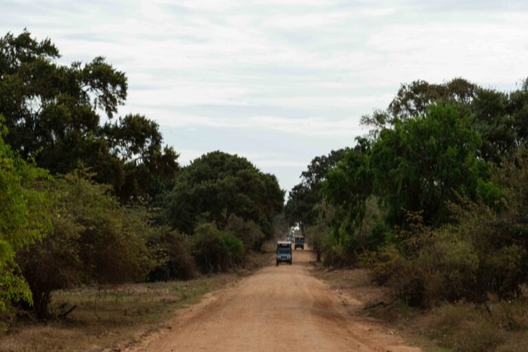 Yala National Park